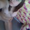 brooke 2