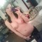 2011-02-27-17.56.05