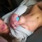 Valerie p