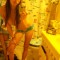Check out all her pics on RWW :D
