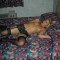 tina001o