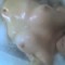 DSC00106