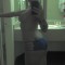 Kelly W (2)