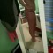 Chelsea T